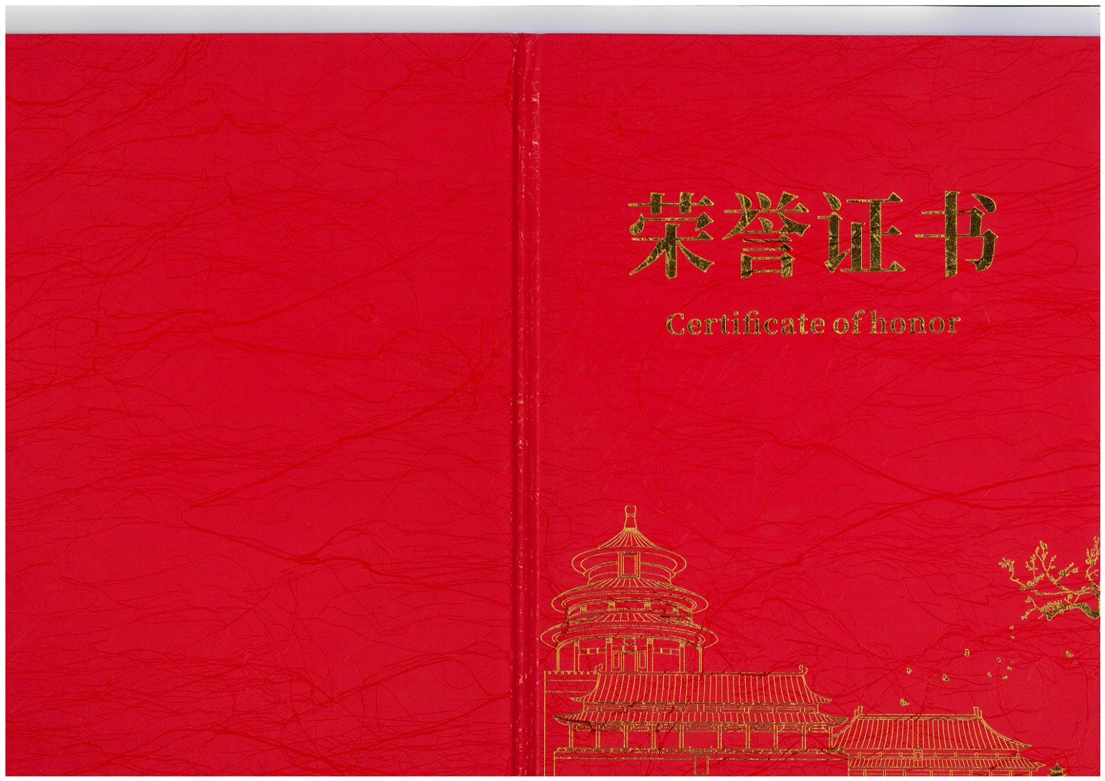 熱烈祝賀！易順建工集團(tuán)喜獲 2025 年南平市“安全生產(chǎn)月” 安全知識競賽團(tuán)隊三等獎